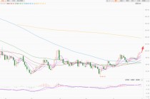 美元指数持续反弹 欧元瑞郎跌幅最大