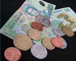 上纽资产的主要项目是什么？这些项目的发展前景如何？  第1张