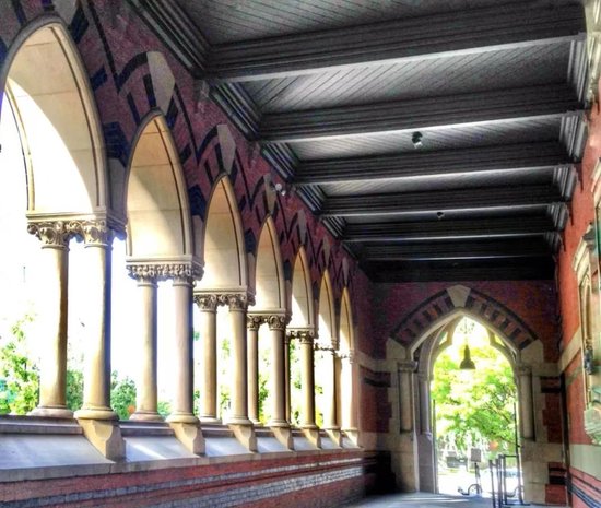 哈佛与白宫对决,美国人如何站队?  第4张 哈佛与白宫对决,美国人如何站队?  第4张