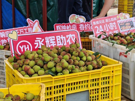 永辉超市启动2025永辉荔枝季助农活动:最快24小时从果园直达门店,从广东门店到全国门店将陆续上架  第1张 永辉超市启动2025永辉荔枝季助农活动:最快24小时从果园直达门店,从广东门店到全国门店将陆续上架  第1张