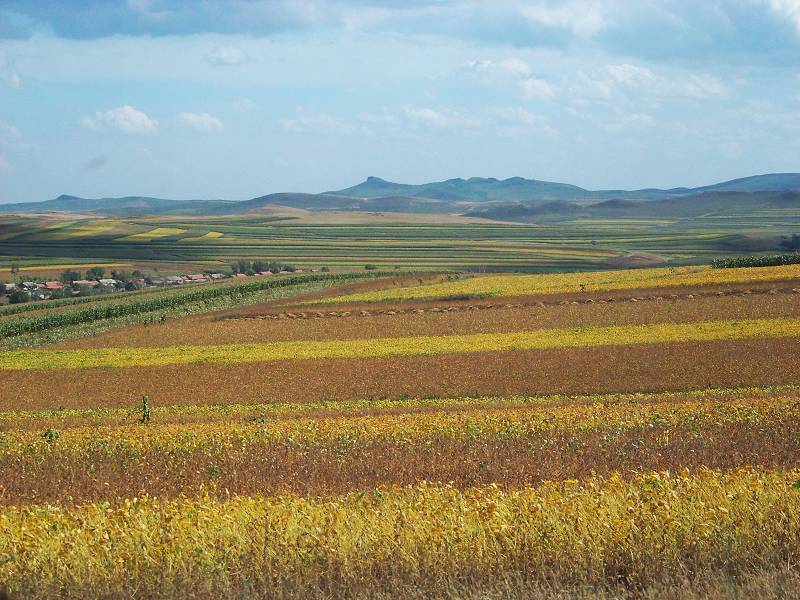 进口大豆通常到什么港口?港口选择对大豆期货有什么影响?  第1张 进口大豆通常到什么港口?港口选择对大豆期货有什么影响?  第1张