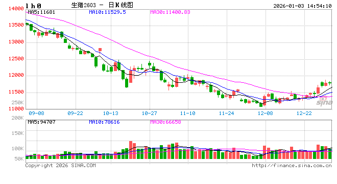 告别2025去产能周期!2026猪价将止跌回升?涨价信号来了! 第2张 告别2025去产能周期!2026猪价将止跌回升?涨价信号来了! 第2张