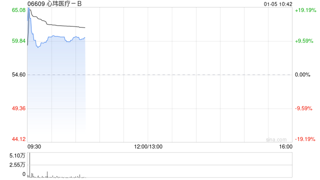 心玮医疗-B盘中涨超11% 目前公司已经启动A股IPO计划  第1张