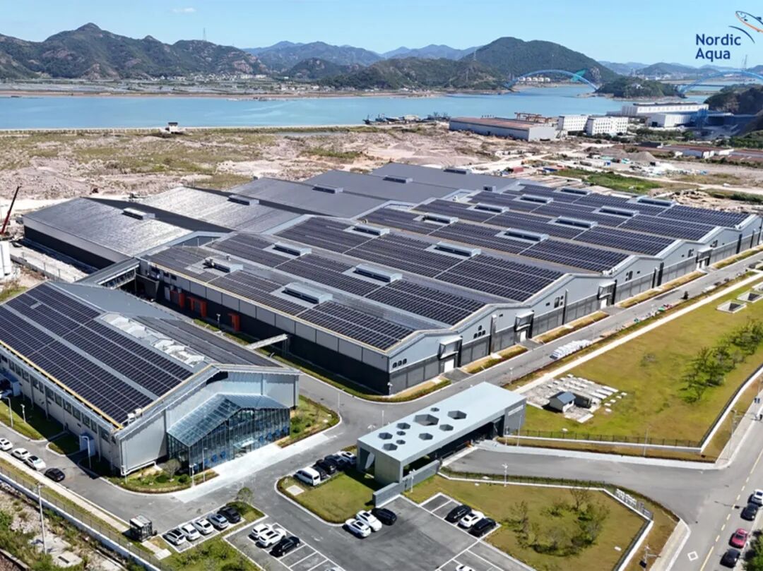 深耕浙江 | 潮涌东海,做蓝色经济的长期合伙人 第2张 深耕浙江 | 潮涌东海,做蓝色经济的长期合伙人 第2张